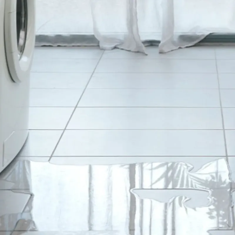 Appliance Leak Cleanup in Windsor, NC