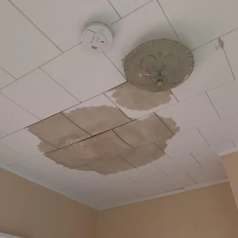 Ceiling Water Damage Repair in Windsor, NC