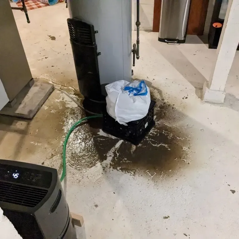 Sewage Backup Cleanup Service in Windsor, NC